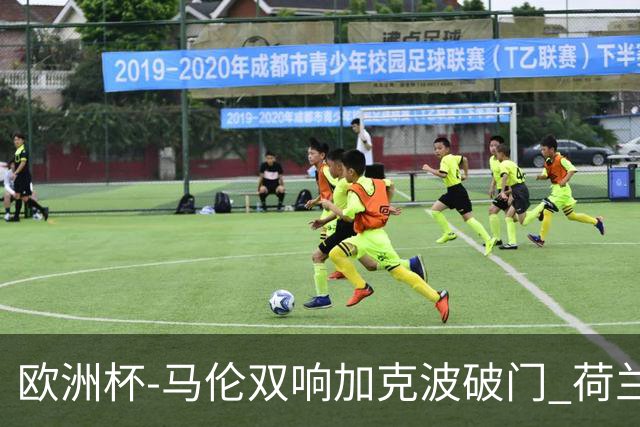 欧洲杯-马伦双响加克波破门 荷兰3-0罗马尼亚